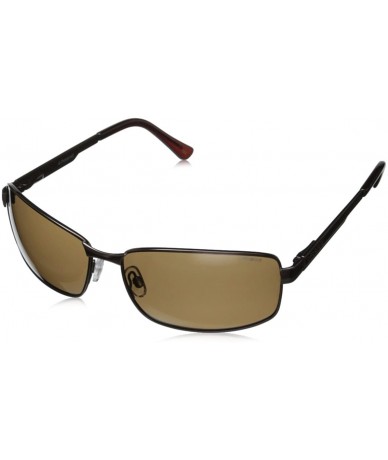 Rectangular P4416/S Rectangular Sunglasses - Brown & Dark Brown Polarized - C511FZ1BL8V $84.56