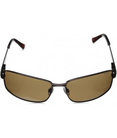 Rectangular P4416/S Rectangular Sunglasses - Brown & Dark Brown Polarized - C511FZ1BL8V $84.56