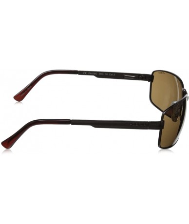 Rectangular P4416/S Rectangular Sunglasses - Brown & Dark Brown Polarized - C511FZ1BL8V $84.56