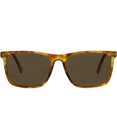 Square Highbrow Square Reading Sunglasses - Honey Tortoise - C418X96TYWK $42.78