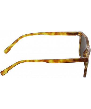 Square Highbrow Square Reading Sunglasses - Honey Tortoise - C418X96TYWK $42.78