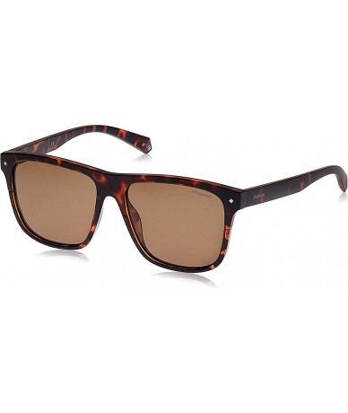 Square Men's Pld6041/S Rectangular Sunglasses - Dark Havana - CB18C54EITG $71.61