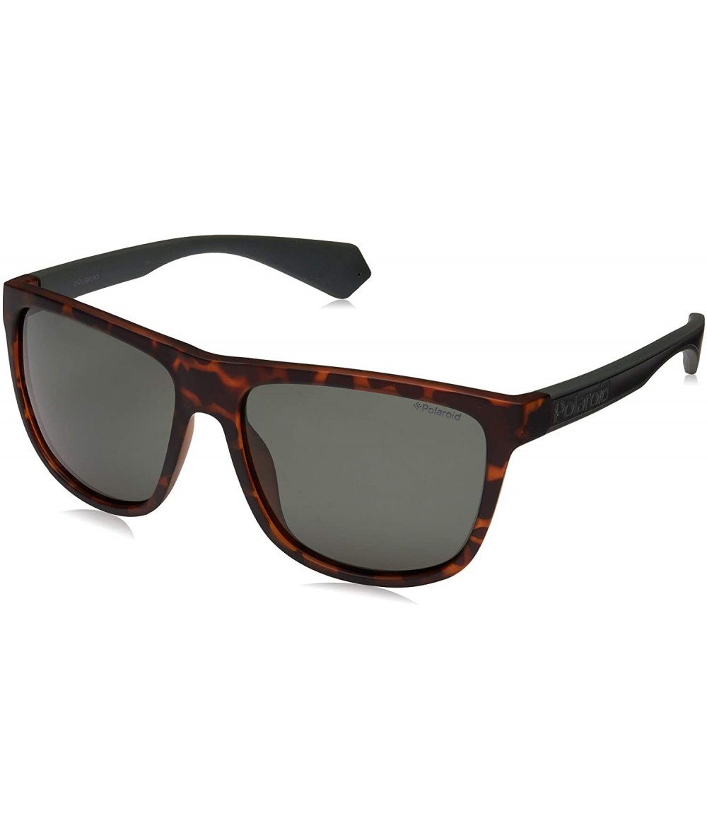 Rectangular Men's Pld 6062/S Square Sunglasses - Havana Green/Polarized Green - CI18IKDGO29 $69.88