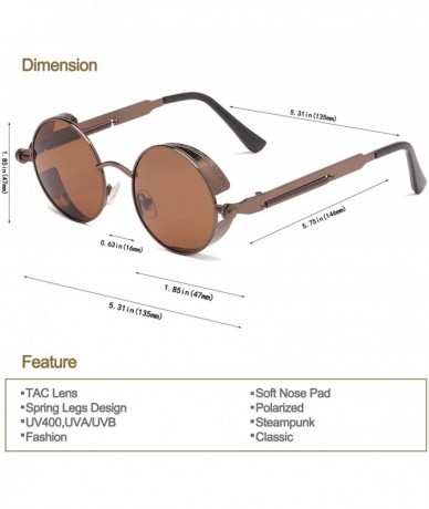 Round Steampunk Round Polarized Sunglasses Retro Vintage Metal Circle Frame Glasses - Brown Lens/Brown Frame - CB1809ILG9E $2...